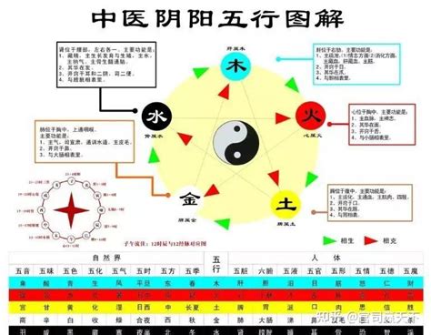 五行特性